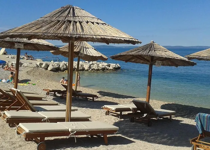 Sunny Yellow * Split